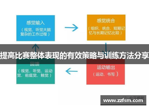 提高比赛整体表现的有效策略与训练方法分享
