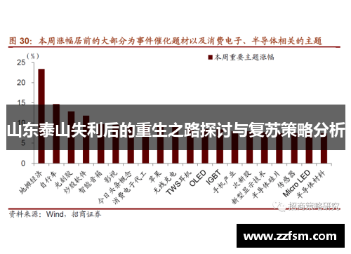 山东泰山失利后的重生之路探讨与复苏策略分析
